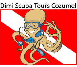 Dimi Scuba Tours Cozumel