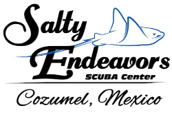 Salty Endeavors