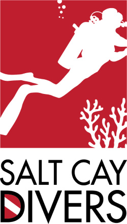 Salt Cay Divers