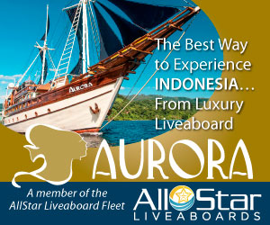 AURORA LIVEABOARD KOMODO