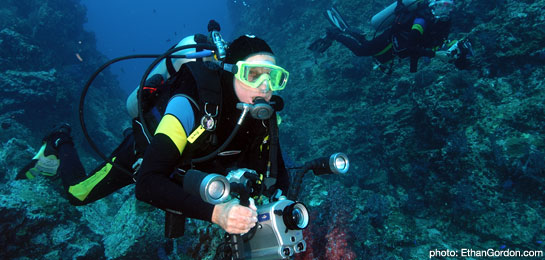 underwater videographer